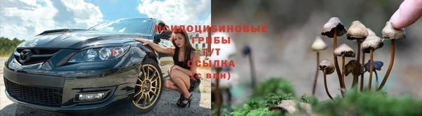 хмурый Армянск