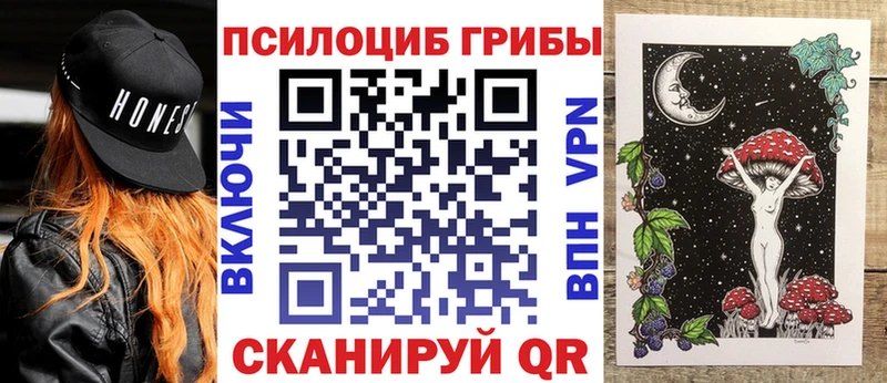 shop формула  Сибай  Псилоцибиновые грибы Cubensis 
