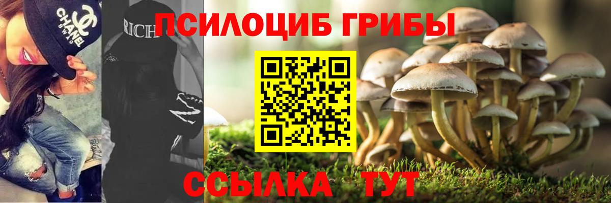 Галлюциногенные грибы Psilocybine cubensis  Псилоцибиновые грибы ЛСД  Вход с VPN  Сибай 